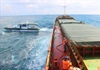 Quảng Nam: Tạm giữ tàu chở gần 3.000 tấn than không có giấy tờ hợp pháp
