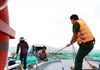 Ninh Thuận: Kiên quyết cưỡng chế nếu ngư dân không vào nơi tránh bão