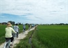 Thử nghiệm tour du lịch sinh thái tại TP Hội An, Quảng Nam:  Để cộng đồng cùng hưởng lợi