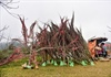 Đào rừng Sơn La bán tràn lan trên quốc lộ 6 chờ về Tết miền xuôi