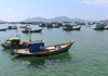 Kiên Giang kết hợp bảo tồn biển với phát triển du lịch sinh thái