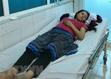 Lai Châu: Ăn nhầm nấm độc, cả gia đình phải nhập viện cấp cứu