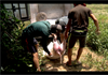 Phát hiện xe tải chở lợn chết từ vùng dịch ra Đà Nẵng tiêu thụ