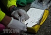 Châu Âu đau đầu trước tình trạng buôn bán ma túy 'sôi động'