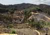 Quảng Nam: 22 tiếng đồng hồ dập tắt điểm cháy rừng