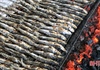 Cá trích nướng Thạch Kim: Đặc sản ăn 1 lần kiểu gì cũng tìm lần 2