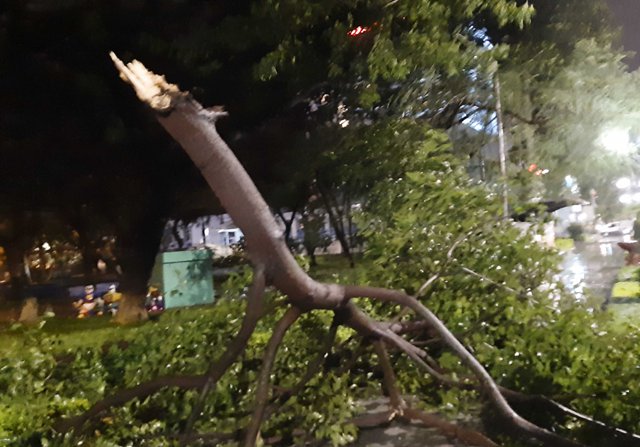 Cận cảnh bão số 5 giật cấp 12 đổ bộ vào Bình Định