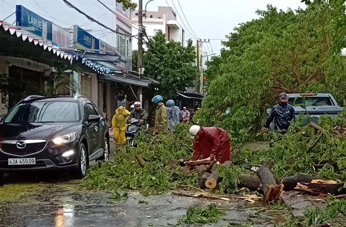 Đà Nẵng: Nhiều cây xanh gẫy đổ sau bão