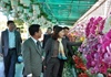 Lâm Đồng: Khai Hội hoa Xuân 2020