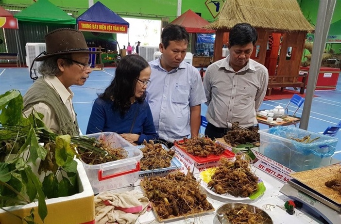 Quảng Nam: Chợ sâm Ngọc Linh chuyển sang bán online, ngưng Lễ hội hoa sưa