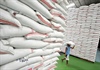Việt Nam có thể trở thành nước xuất khẩu gạo hàng đầu thế giới