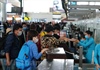 Cục Hàng không: Cần ít nhất 4 ngày để ‘cõng’ khách rời Đà Nẵng