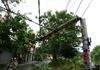 Với gió cấp 8, hơn 400 cột điện bị gãy, đổ tại Thừa Thiên Huế: “Chúng tôi cũng đau đầu, không biết tại sao”