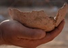 Tìm thấy xưởng ủ bia 5.000 năm tuổi quy mô lớn