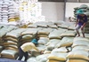 Xuất cấp gần 740 tấn gạo cho tỉnh Bình Định hỗ trợ người dân bị hạn hán