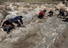 “Tổ tiên” tranh khảm Địa Trung Hải được phát hiện ở Thổ Nhĩ Kỳ