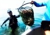Đội thợ lặn làm “vệ sinh” đáy biển