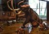 Mexico xây dựng bảo tàng voi ma mút trong sân bay quốc tế mới