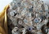 Quảng Trị: Người dân phát hiện hũ sành chứa tiền cổ nặng 27kg