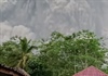 Indonesia: Núi lửa Semeru phun trào, 13 người thiệt mạng và hàng chục người bị thương