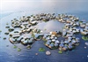 Hàn Quốc cấp phép xây dựng “thành phố nổi” đầy tham vọng