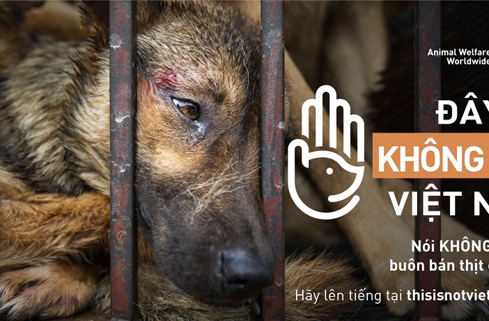 Phát động chiến dịch chấm dứt nạn buôn bán thịt chó và mèo tại Việt Nam