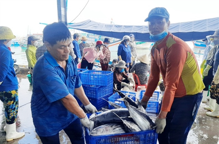 Khánh Hòa:  Ngư dân vui mừng đón nhận "lộc biển" đầu năm