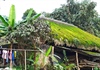 Mái nhà rêu xanh đẹp như tranh ở Hà Giang