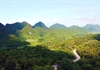 Cuc Phuong Jungle Paths 2022 – Giải chạy xuyên rừng có cự ly lên tới 70km