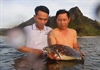 Thả cá thể rùa xanh quý hiếm về biển Lý Sơn
