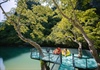 “Viên kim cương xanh” - điểm du lịch mới lạ, độc đáo và tuyệt đẹp tại Phong Nha – Kẻ Bàng