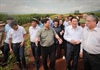Thủ tướng thăm vùng sản xuất nông nghiệp công nghệ cao tại Nghệ An