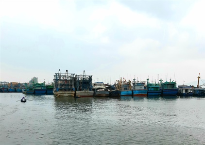 Bình Định dời hơn 1.200 tàu cá tại biển Quy Nhơn để phát triển du lịch
