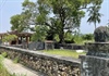 Quảng Ngãi: Xem xét bảo vệ Di tích quốc gia mộ Huỳnh Công Thiệu