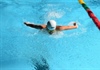 Hơn 300 vận động viên tranh tài tại Giải Bơi - Lặn trẻ vô địch quốc gia 2023