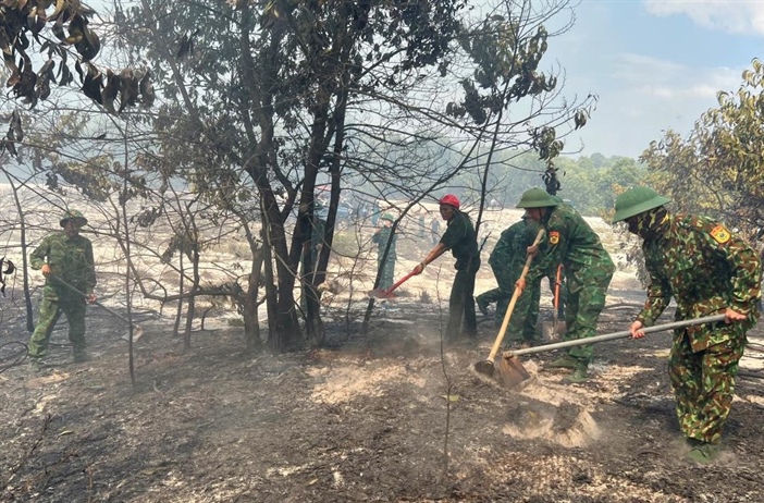 Thừa Thiên Huế: Huy động lực lượng dập tắt vụ cháy rừng phòng hộ ven biển