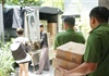 Đà Nẵng: Thu giữ 4.000 hộp bánh Trung thu và thạch trái cây không rõ nguồn gốc