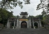 Hệ thống cây xanh tại Khu Di tích quốc gia đặc biệt đền Bà Triệu bị mối mọt xâm hại nghiêm trọng
