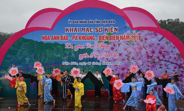 Lễ hội hoa anh đào Điện Biên Phủ sẽ diễn ra vào 1.2024