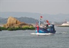 Ngư dân Quảng Ngãi vươn khơi xuyên Tết, đón giao thừa trên biển