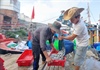 Ngư dân làng biển Quảng Ngãi trúng đậm mùa cá cơm